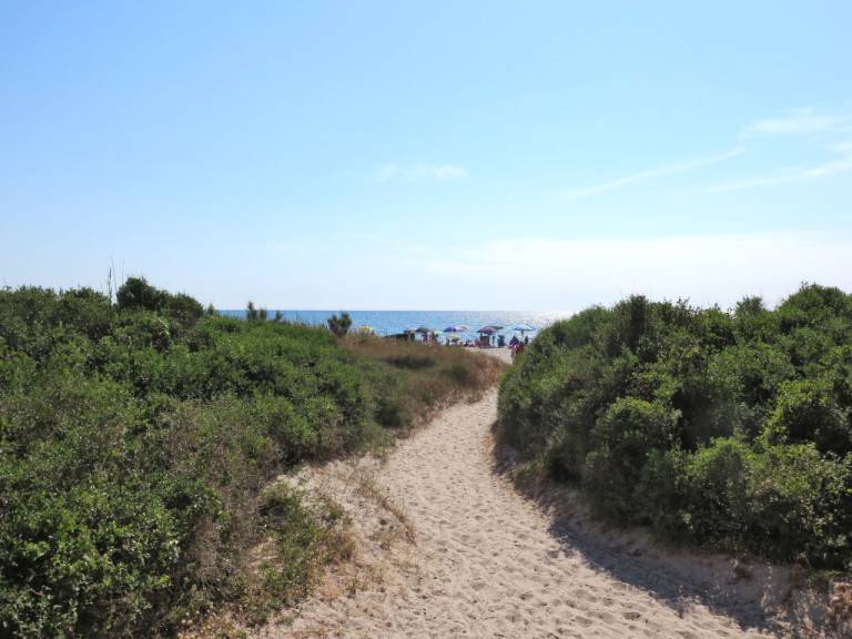 foto41