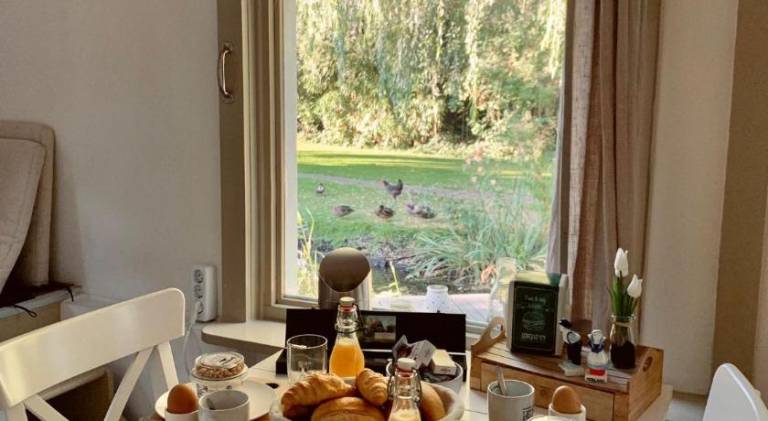 B&B Saense huisje — photo 3