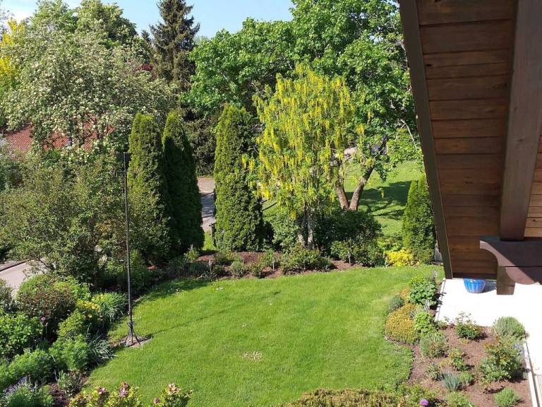 foto40