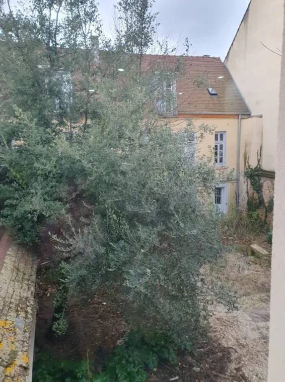 foto1