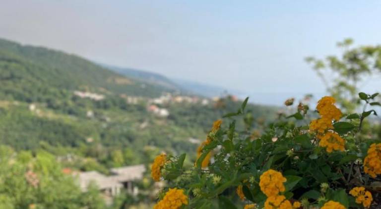 A casa di Zia Maria in Cosenza