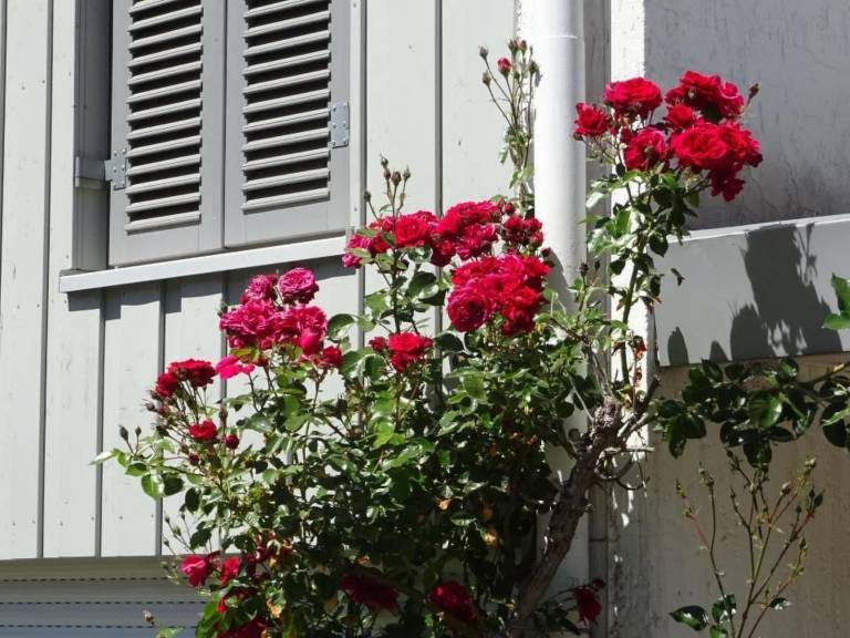 Ferienwohnung Vlotho