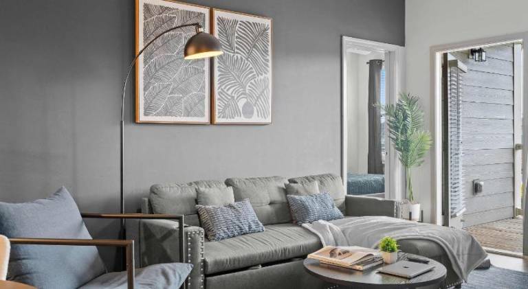 Rental apartment | Pets are welcome in Charlotte, NC
