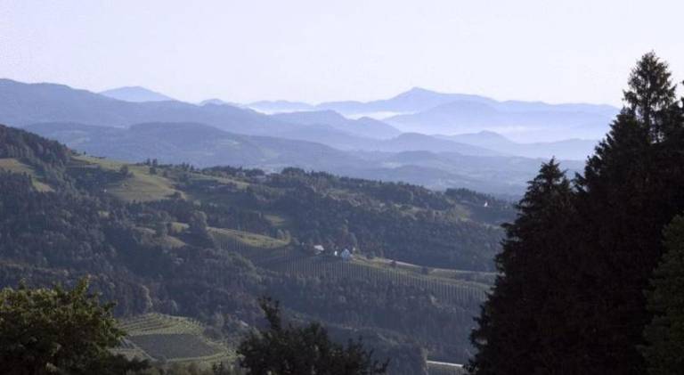 foto6