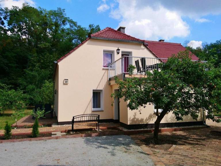 foto20