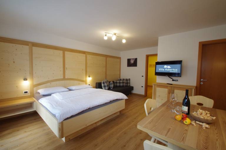 Fully equipped pleasant rental apartment with fast internet | Mountain view | Next to the ski | Pets are welcome in Santa Cristina Val Gardena
