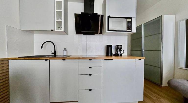 Rental apartment with 1 room for 4 persons — photo 3