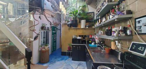 foto11