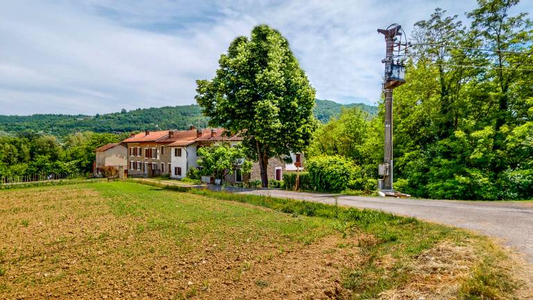 foto42