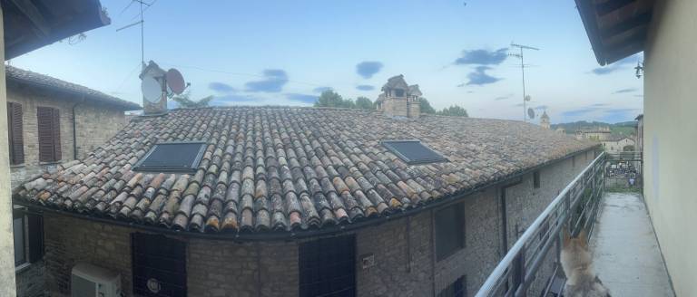 foto15