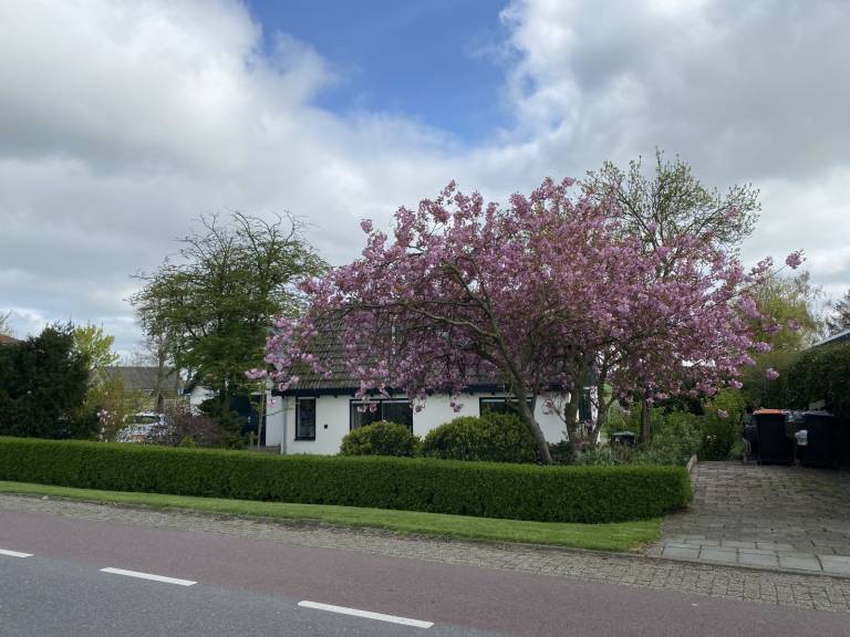 foto13