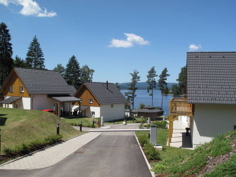 foto28