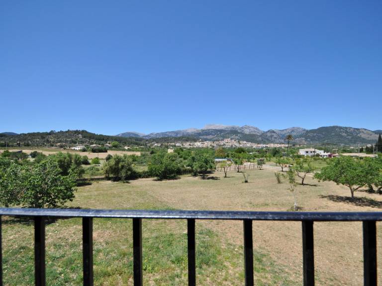 foto33