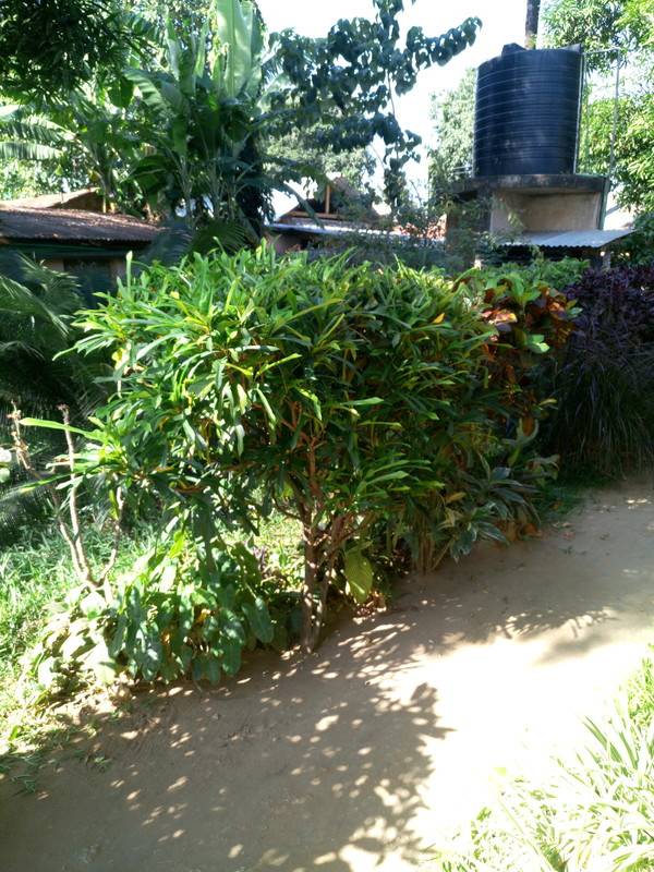 foto2