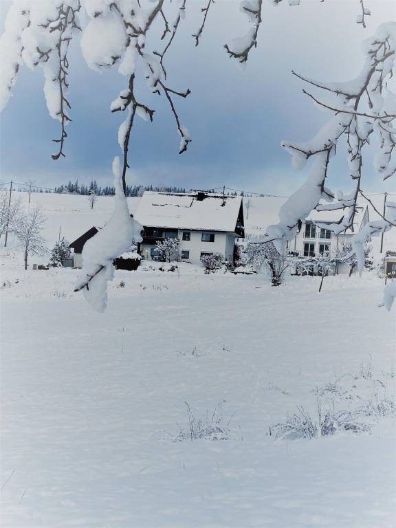 Ferienwohnung in Schwärzenbach, Titisee-Neustadt für max. 5 Gäste