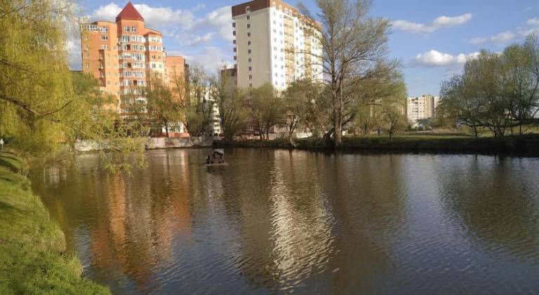 foto2