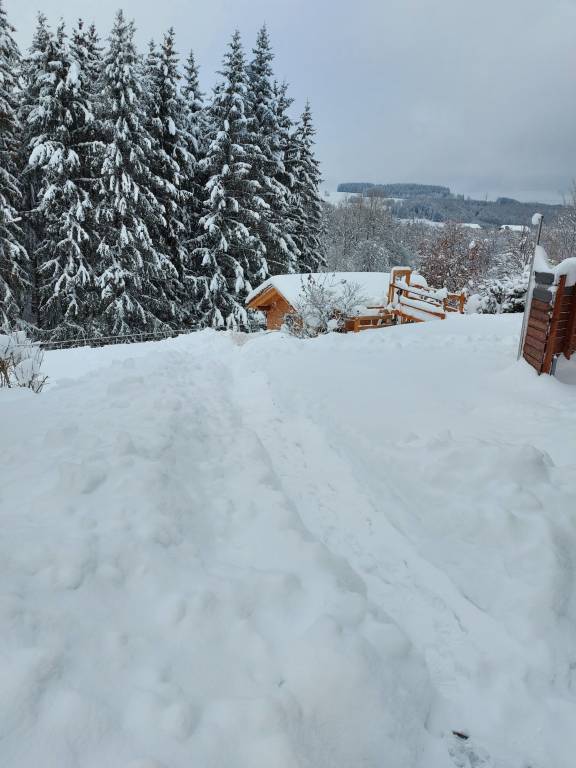 foto10