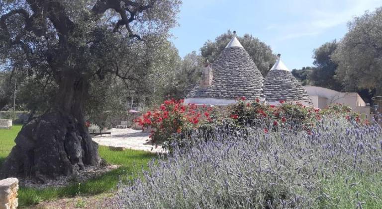 House | Pets are welcome in Ostuni