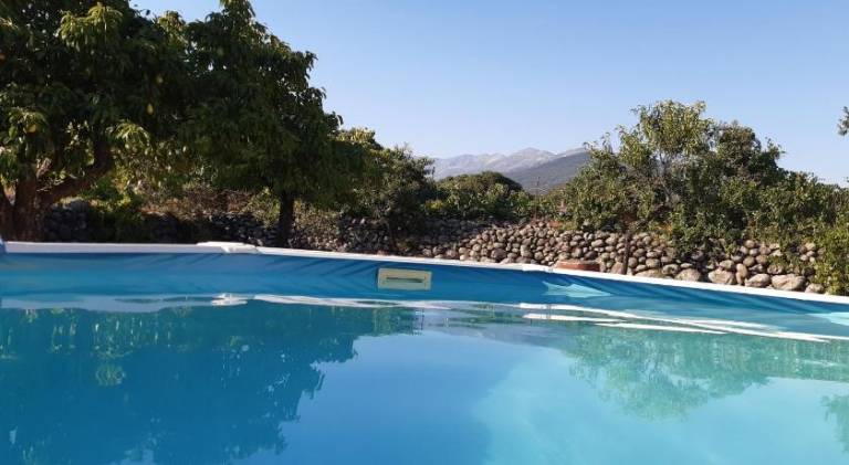 House with pool | Pet-friendly — photo 3