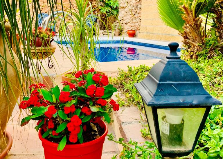 Bed and breakfast Nerja