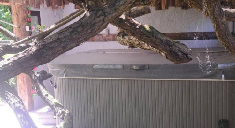 foto42