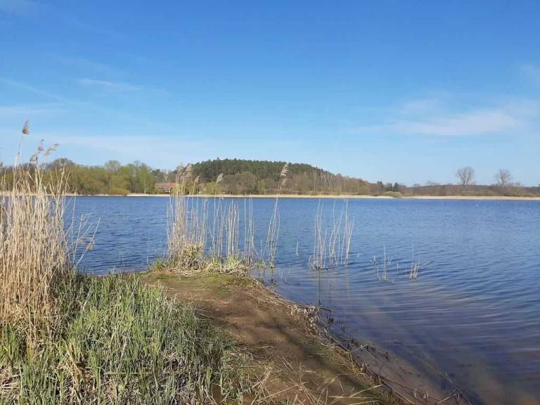 foto4