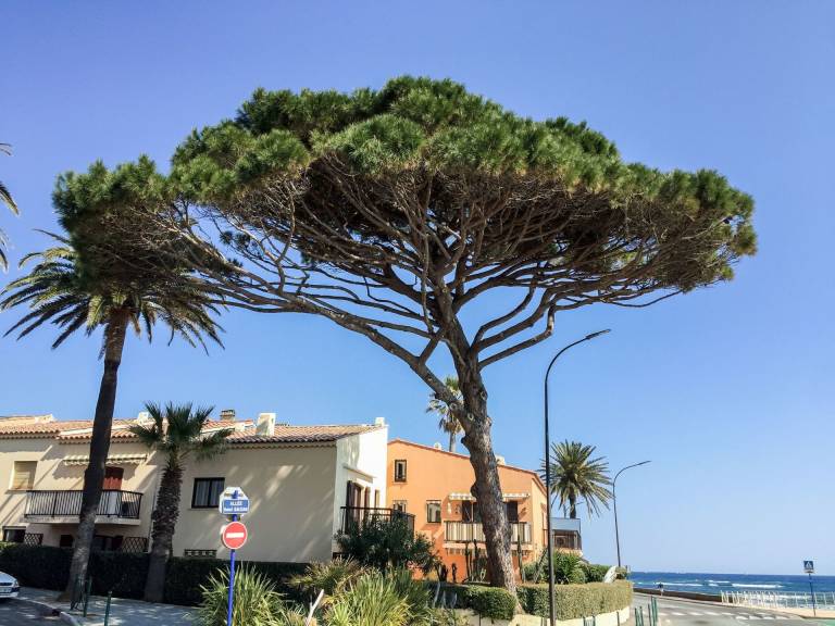 Appartamento Saint-Tropez