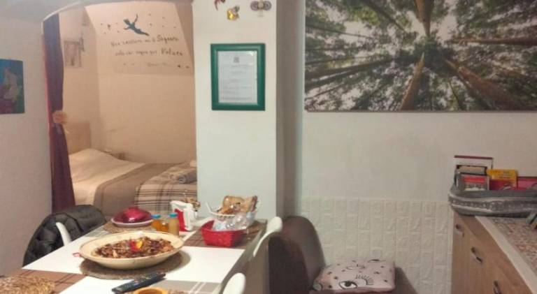 Bnb Peter Pan — photo 4