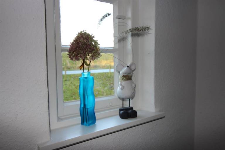 foto28