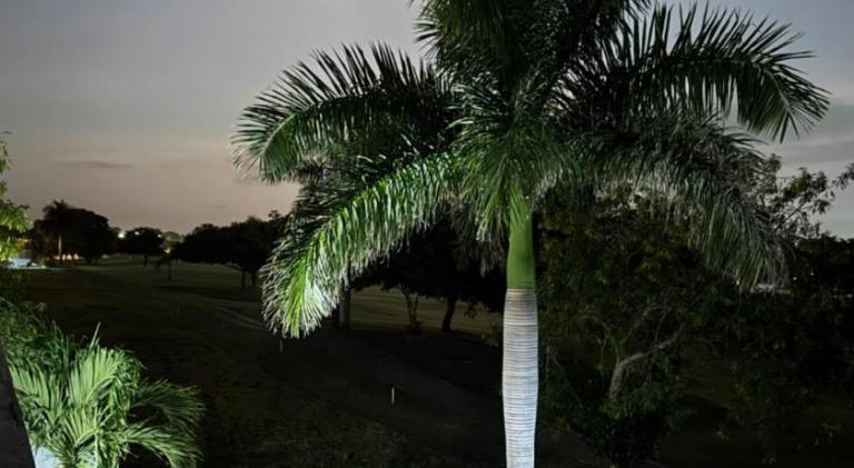 foto8