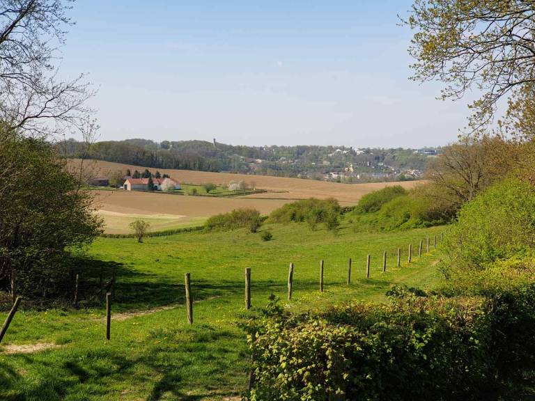 foto17