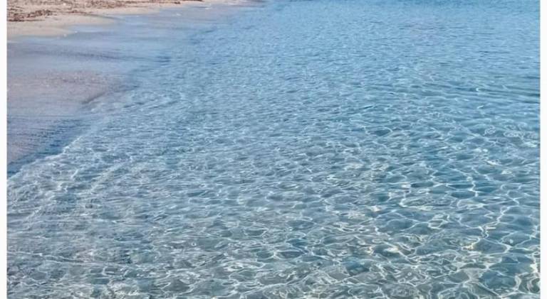Holiday apartment | Beach nearby | Pet-friendly — photo 4