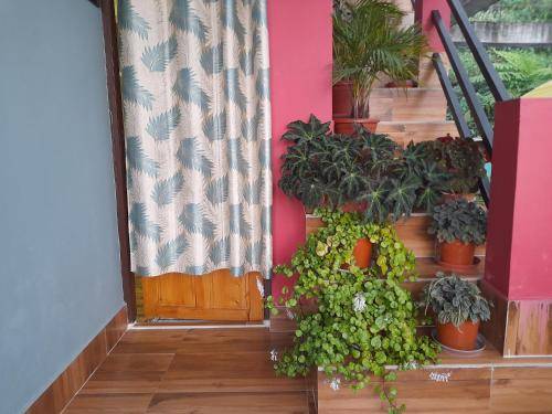 foto5