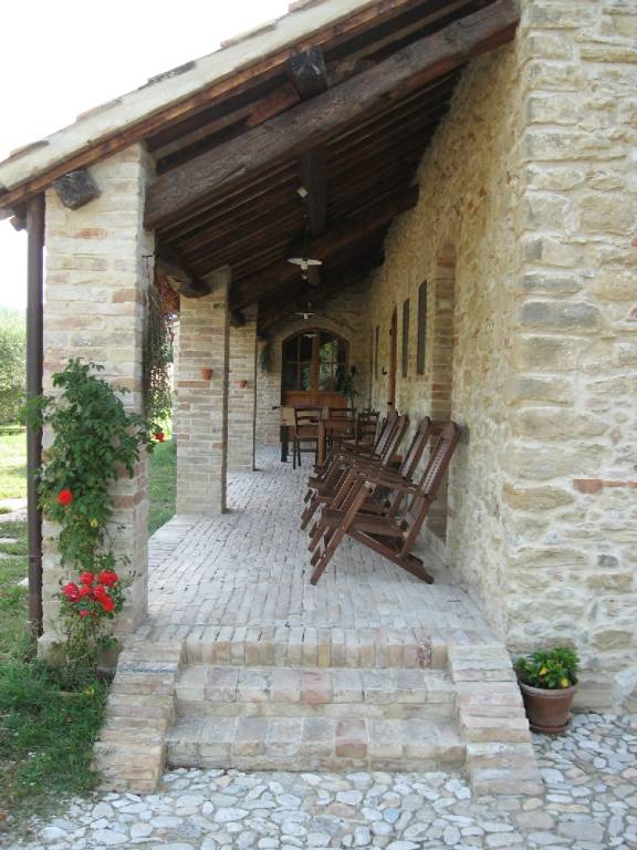 foto42