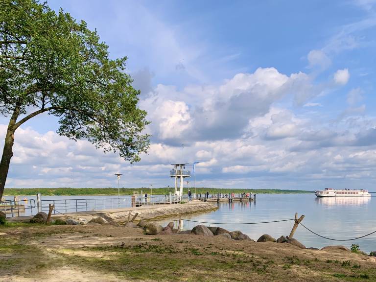 Sommerhaus ️ mit der Ferienwohnung "Perle im Grünen" — photo 4