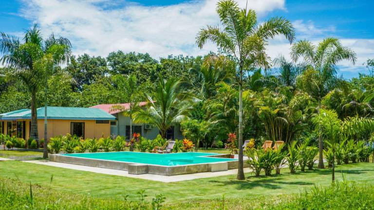 La Palmera Real — photo 5