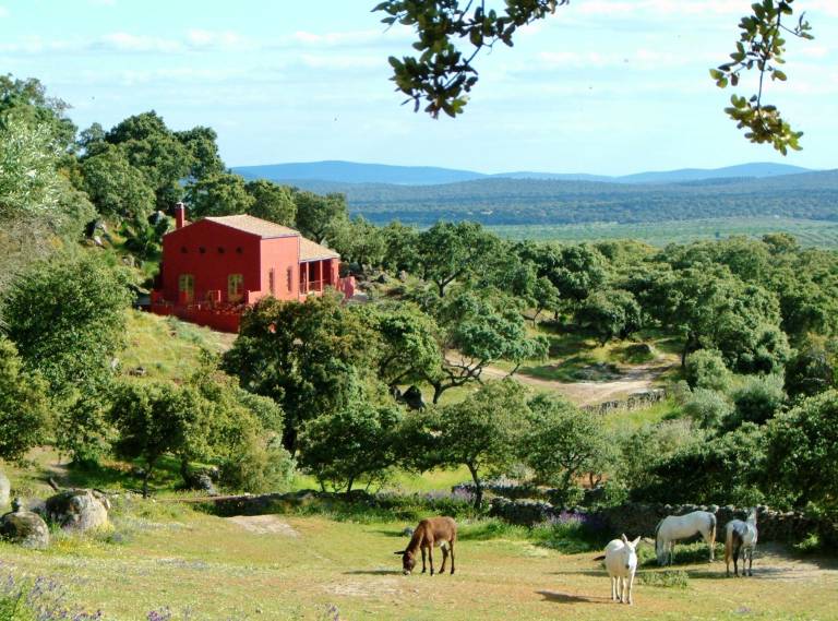 Casa rural  Montánchez