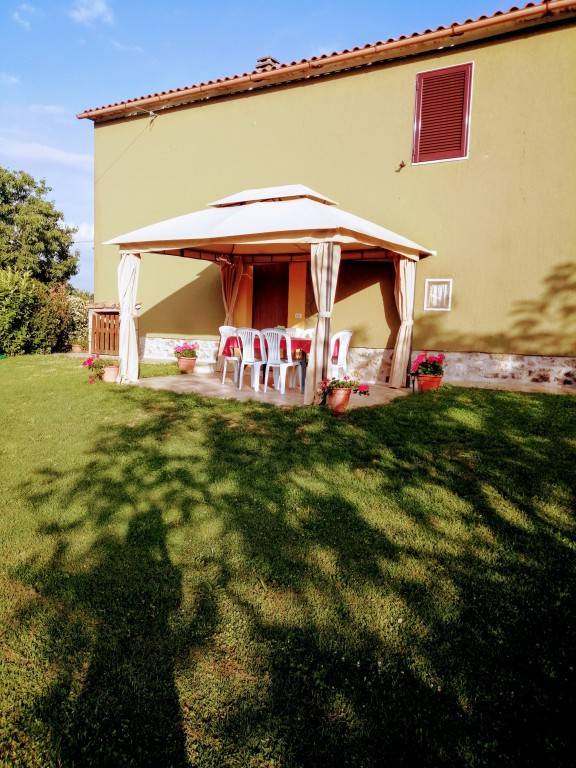 foto19