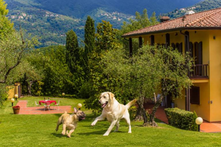 Villa in Lucca, Toskana, Italien