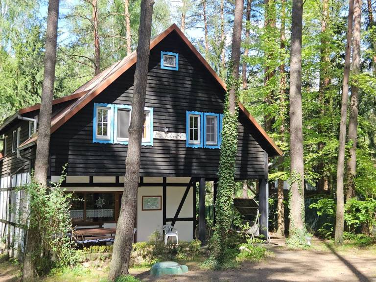 Children-friendly vacation home with patio, sauna & yard | Nature view | Pets allowed — photo 5