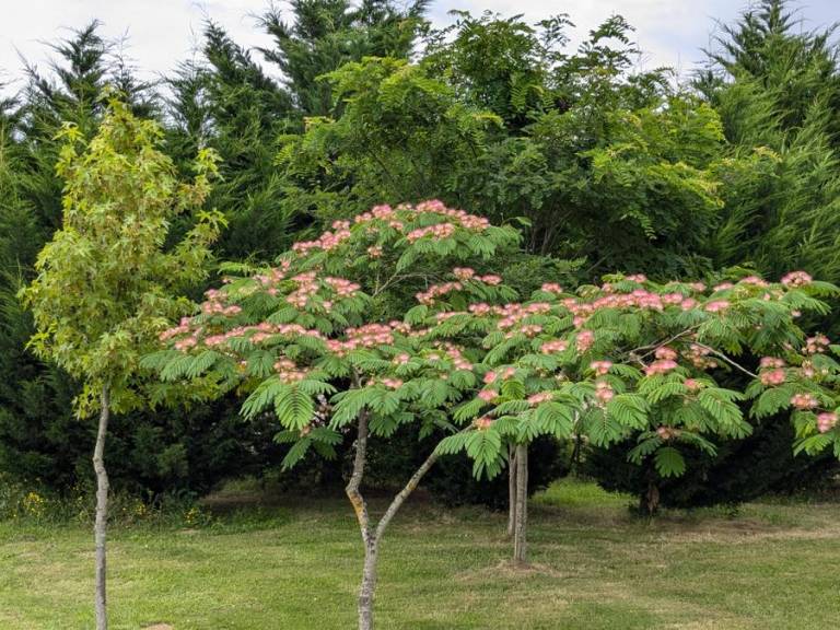 foto44