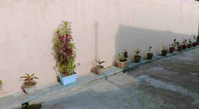 foto8