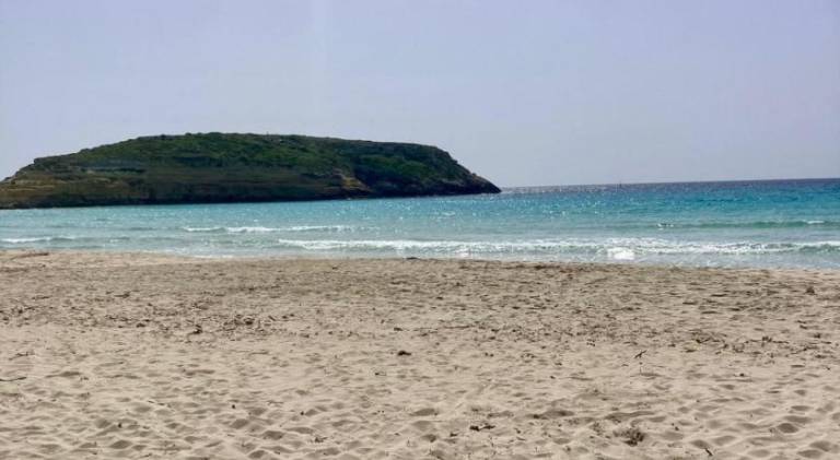 Nice holiday apartment | Close to the beach | Dogs allowed — photo 4
