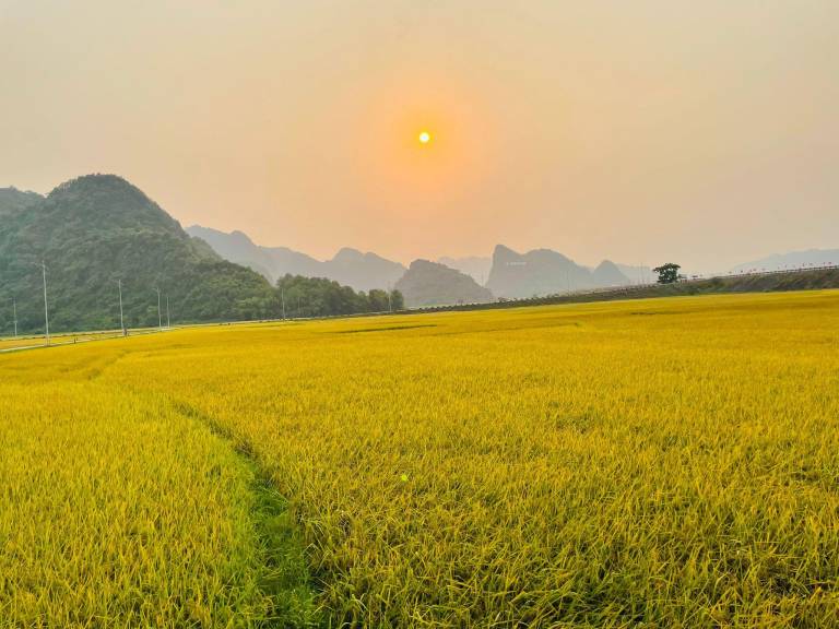 Huy-Homestay in Bo Trach