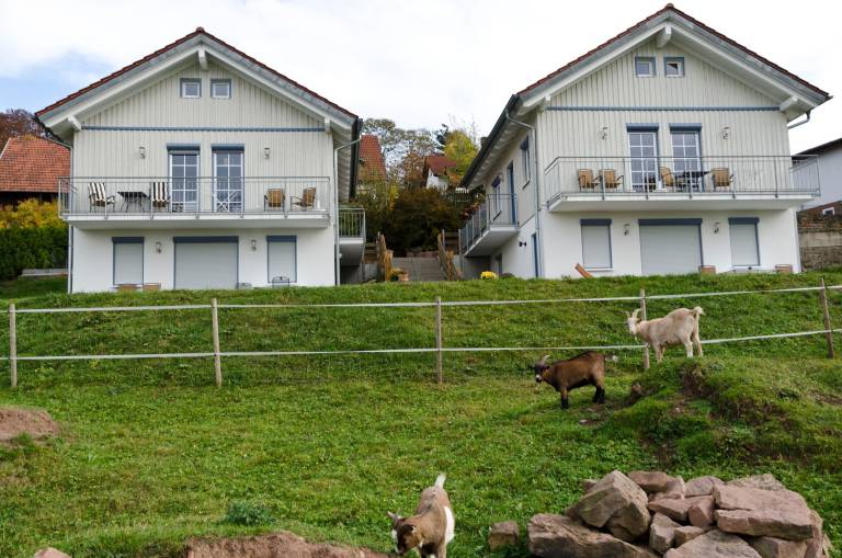 House  Gammelsbach