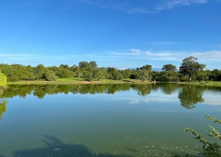Nice vacation home | Pets are welcome in Udawalawa