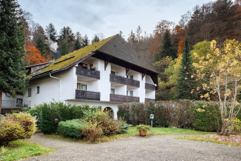 Holiday apartment with fast internet | Garden view in Triberg im Schwarzwald