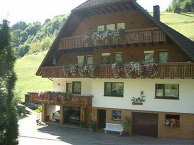 foto6