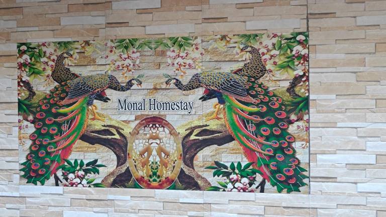 Monal in Bhimtal