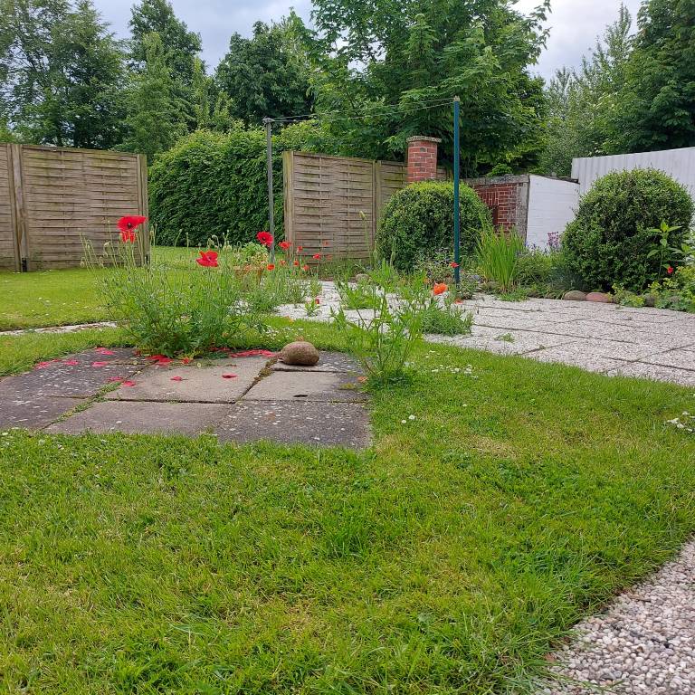 foto21